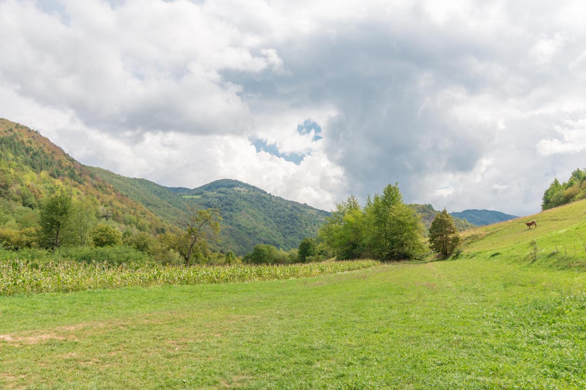 Pensiunea Popasul Ursilor Chiscau Buitenkant foto